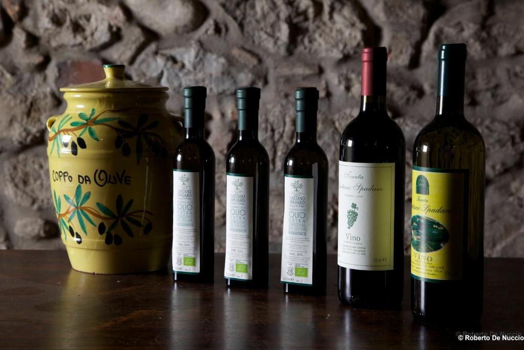 Tenuta Gaetano Spadaro Капанари Екстериор снимка